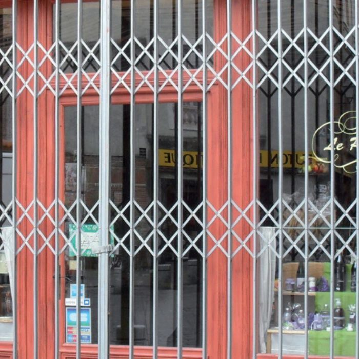 Les grilles métalliques Les grilles métalliques